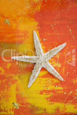 artwork with starfish