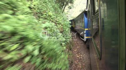 Zug im Regenwald, Peru