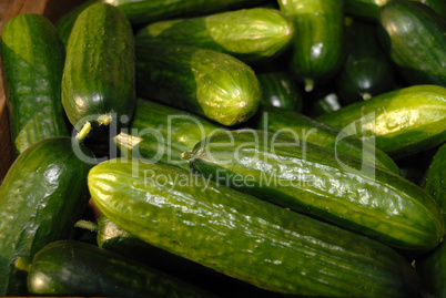 zucchini