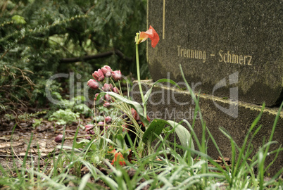 Cementery / Friedhof