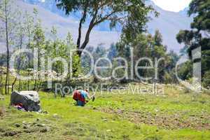Feldarbeit in den Anden