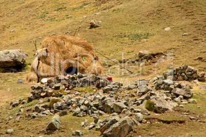 Strohhütte im Andenhochland