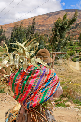 Bäuerin bei Feldarbeit, Südamerika