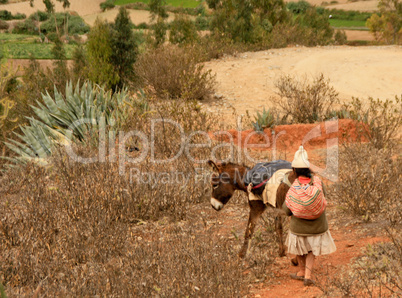 Frau mit Esel in den Anden