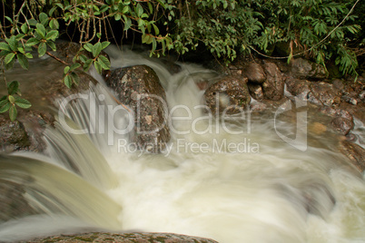 Fluß im Regenwald