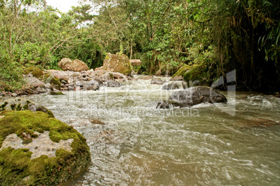 Fluß im Regenwald