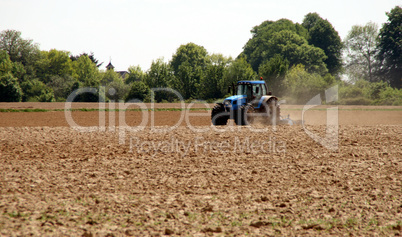 Traktor auf Feld