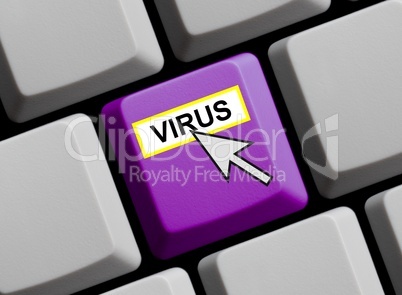 Alles zum Thema Computer Viren online