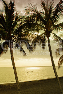 Sonnenlicht am Strand