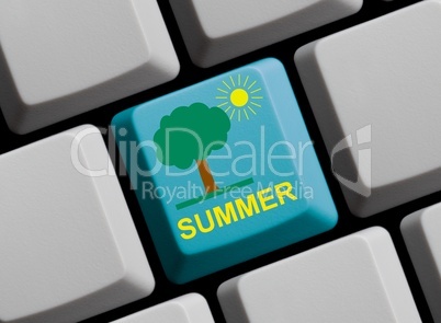 Alles über den Sommer im Internet