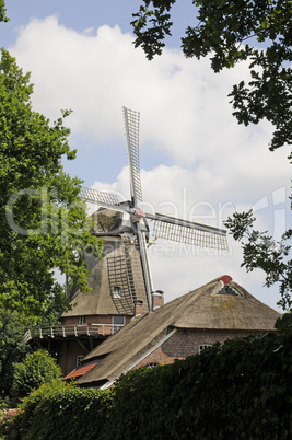 Windmühle bei Großefehn