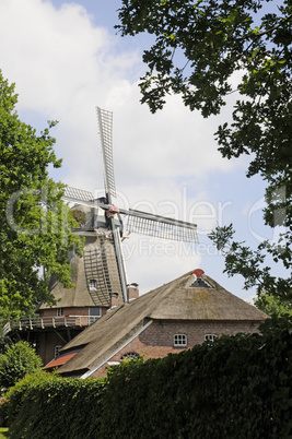 Windmühle bei Großefehn