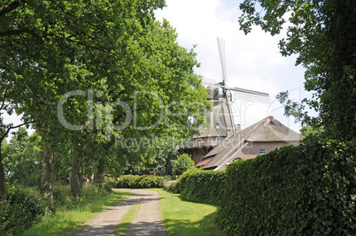 Windmühle bei Großefehn