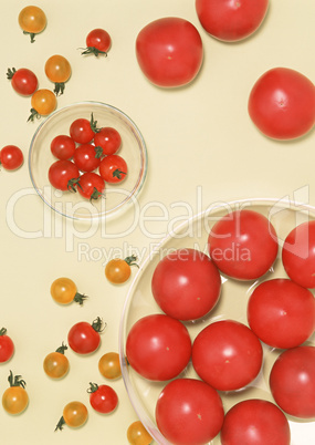 Tomaten