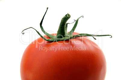 Tomate