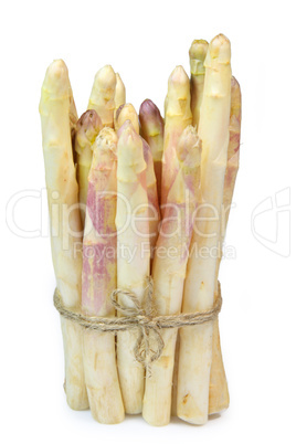 Asparagus Asparagus