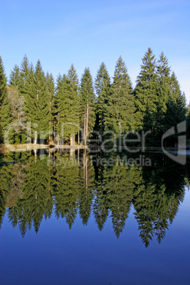 Waldsee