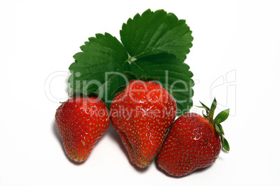 Erdbeeren