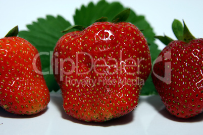 Erdbeeren