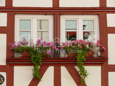 Blumenfesnter in Bernkastel-Kues