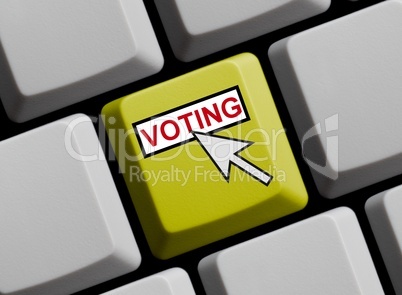 Online Voting