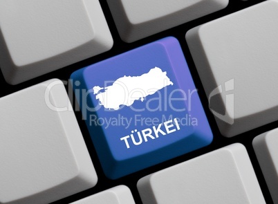 Die Türkei im Internet
