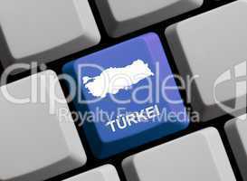 Die Türkei im Internet