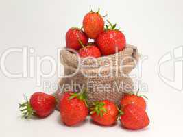 Erdbeeren im Sack