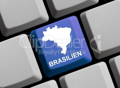 Brasilien im Internet