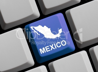 Mexiko im Internet