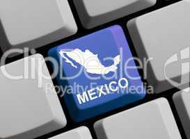 Mexiko im Internet