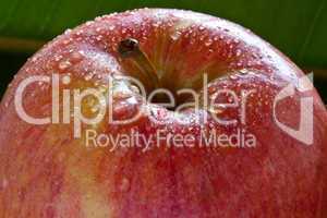 Bunter Apfel
