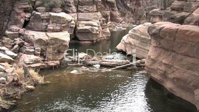 Fluß mit Baumstämmen im Wasser, Sedona, Arizona