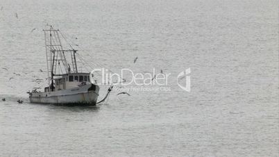 Fischerboot fährt in Begleitung von Vögeln und Pelikanen