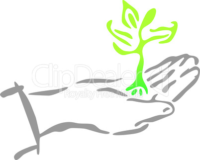 Hand mit Pflanze