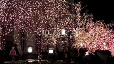 Weihnachtsbeleuchtung - Mormon Temple