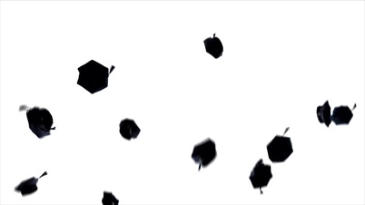 graduation - flying hats on white background