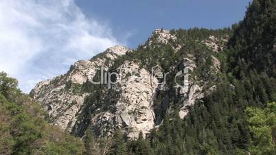 Grün bewachsener Berg - Wasatch Mountains