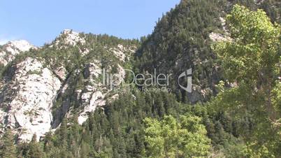 Grün bewachsener Berg - Wasatch Mountains