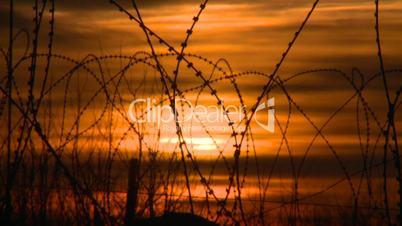 HD-2008-10-9-6 military razor wire sunrise