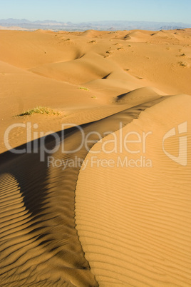 Wahiba-Wüste, Wahiba sands, Oman