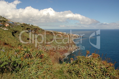Küste bei Funchal, Madeira