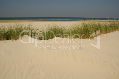 Sanddüne auf Langeoog