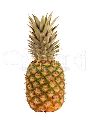 freigestellte Ananas