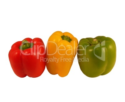 Paprika in drei Farben
