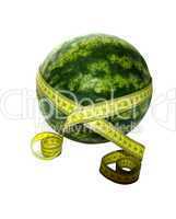 Melone macht schlank