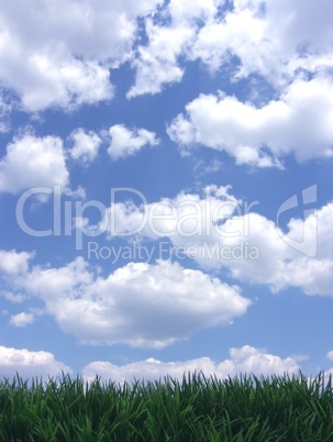 Rasen Wiese vor blauem Himmel mit Wolken