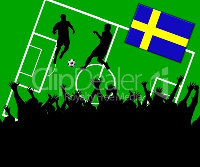 Fußball Länderspiel im Stadion Schweden