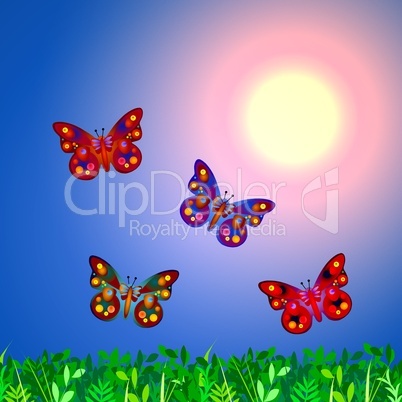 Schmetterlinge bei Sonnenaufgang