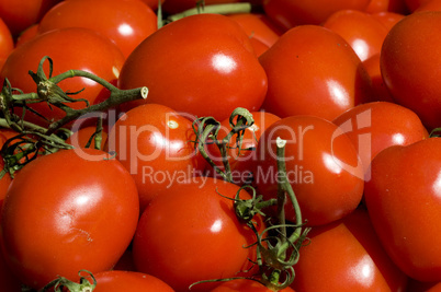Tomaten